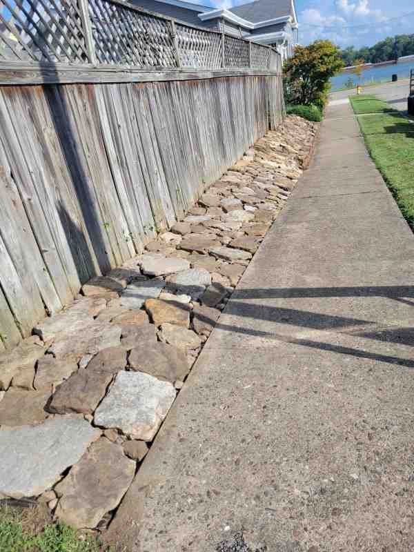Alberto Alavez Professional Lawn Services LLC 3 by Alberto Alavez Professional Lawn Services LLC - Photo 46