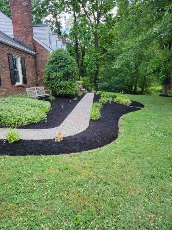 Alberto Alavez Professional Lawn Services LLC - Photo 7