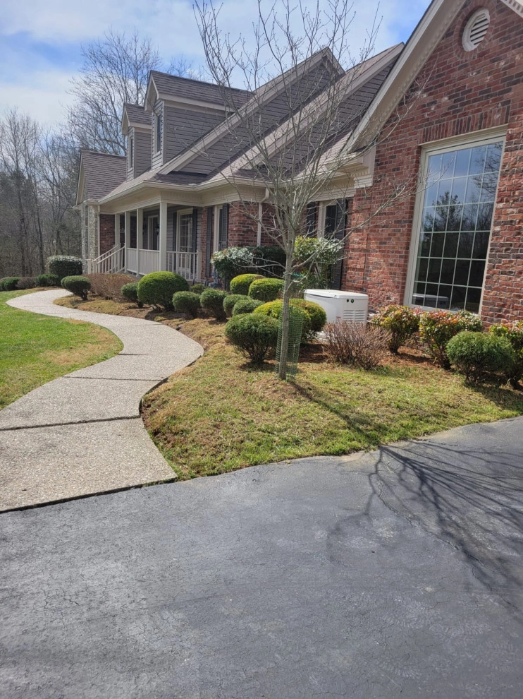 Alberto Alavez Professional Lawn Services LLC 10 by Alberto Alavez Professional Lawn Services LLC - Photo 9