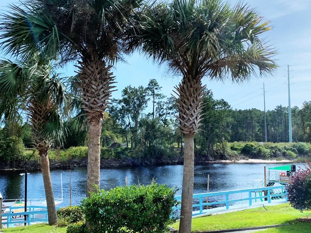 Waterside Lot 21 by Rowe Ventures Custom Homes - Photo 4