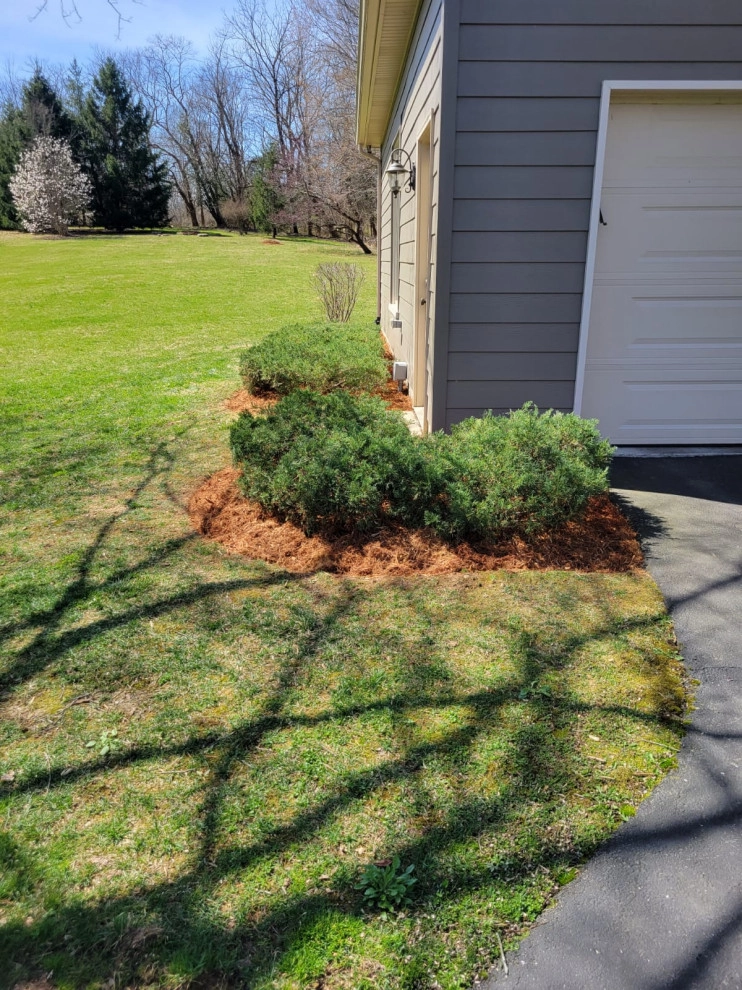 Alberto Alavez Professional Lawn Services LLC 10 by Alberto Alavez Professional Lawn Services LLC - Photo 15