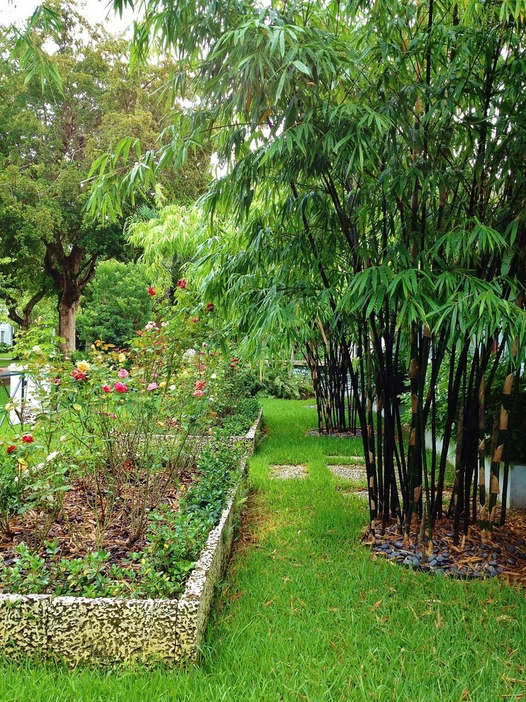 Bamboo Landscape Design Miami by Knoll Landscape Design Miami - Photo 11