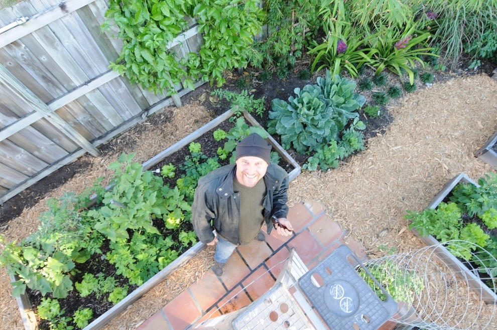 Raised Bed Garden Miami Landscape Design by Knoll Landscape Design Miami - Photo 2