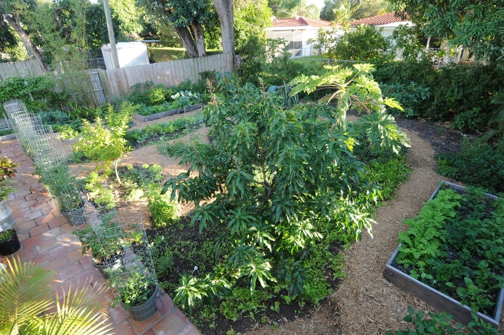 Raised Bed Garden Miami Landscape Design by Knoll Landscape Design Miami - Photo 13
