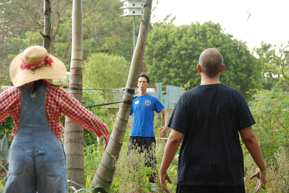 Edible Landscape Design Miami by Knoll Landscape Design Miami - Photo 42