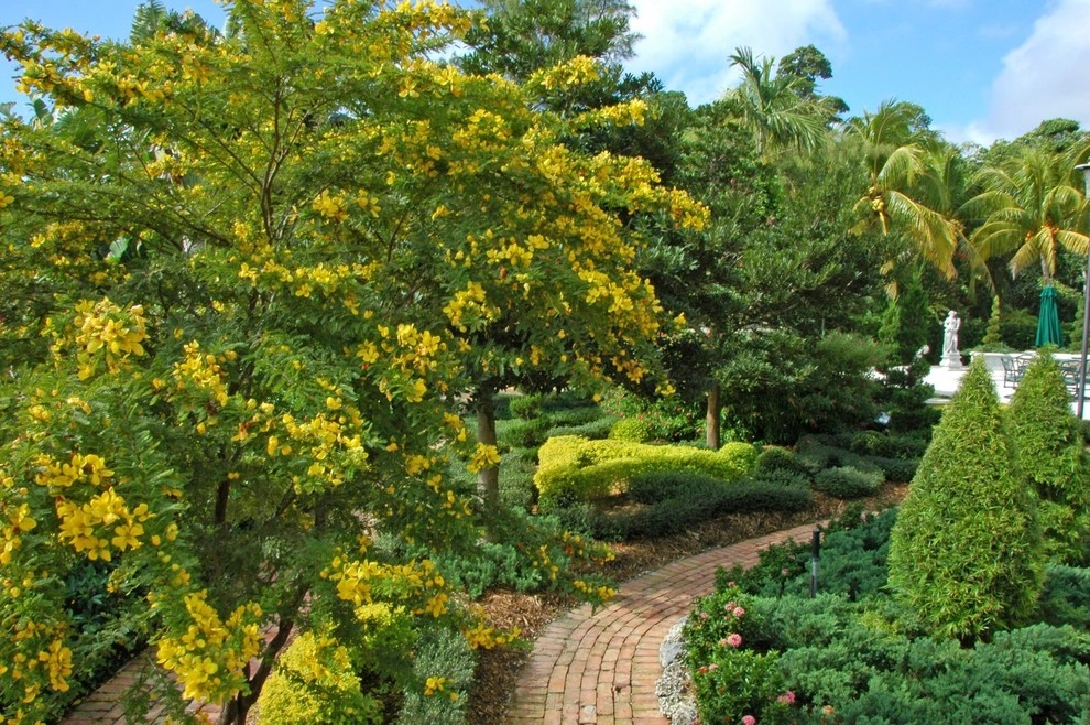Mediterranean Landscape Design Miami by Knoll Landscape Design Miami - Photo 4
