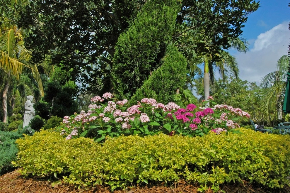 Mediterranean Landscape Design Miami by Knoll Landscape Design Miami - Photo 3