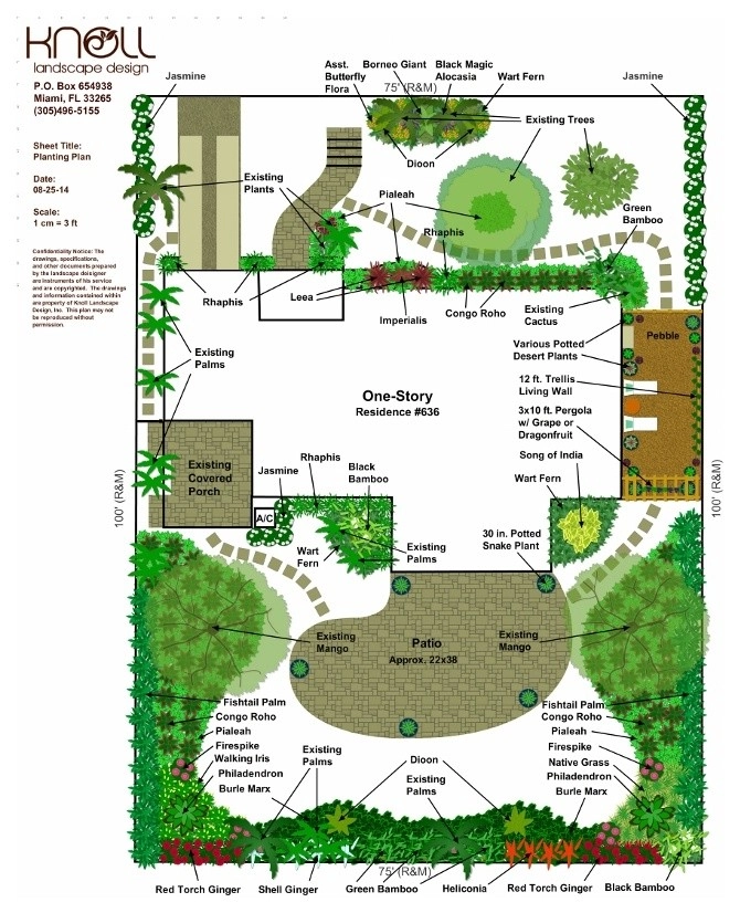 Our CAD Designs by Knoll Landscape Design Miami - Photo 5