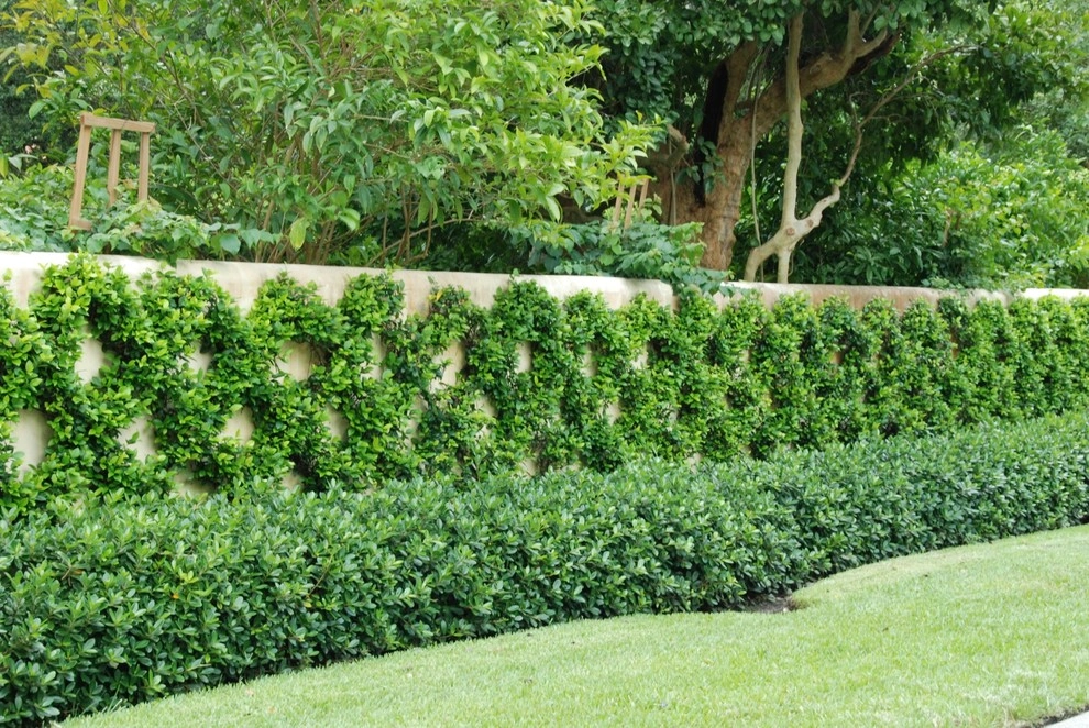 Miami Landscape Design Ideas by Knoll Landscape Design Miami - Photo 45