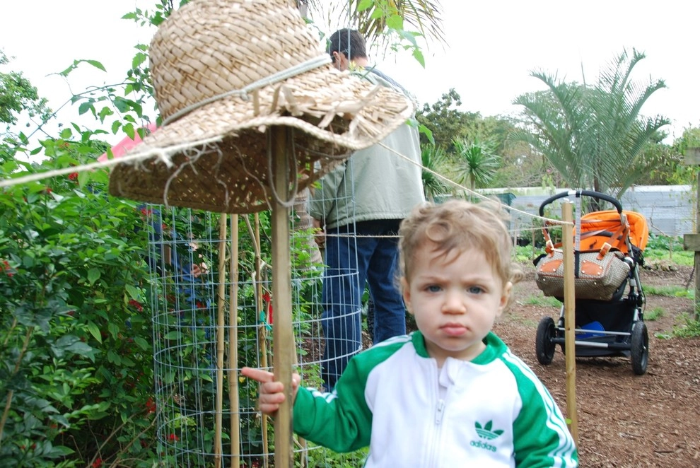 Edible Landscape Design Miami by Knoll Landscape Design Miami - Photo 16