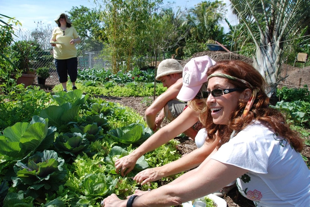 Edible Landscape Design Miami by Knoll Landscape Design Miami - Photo 47