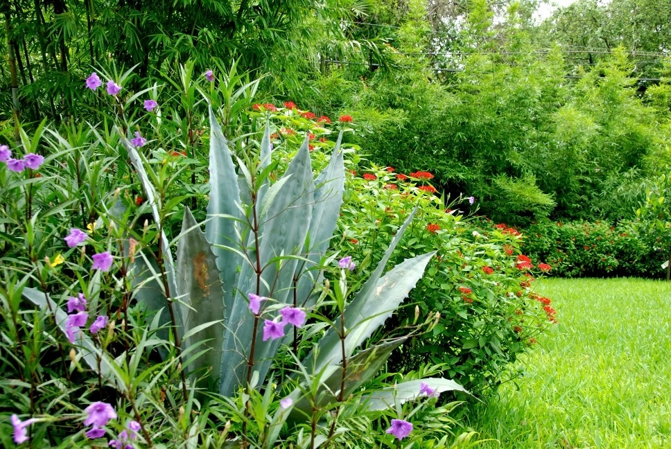 Miami Landscape Design Ideas by Knoll Landscape Design Miami - Photo 54