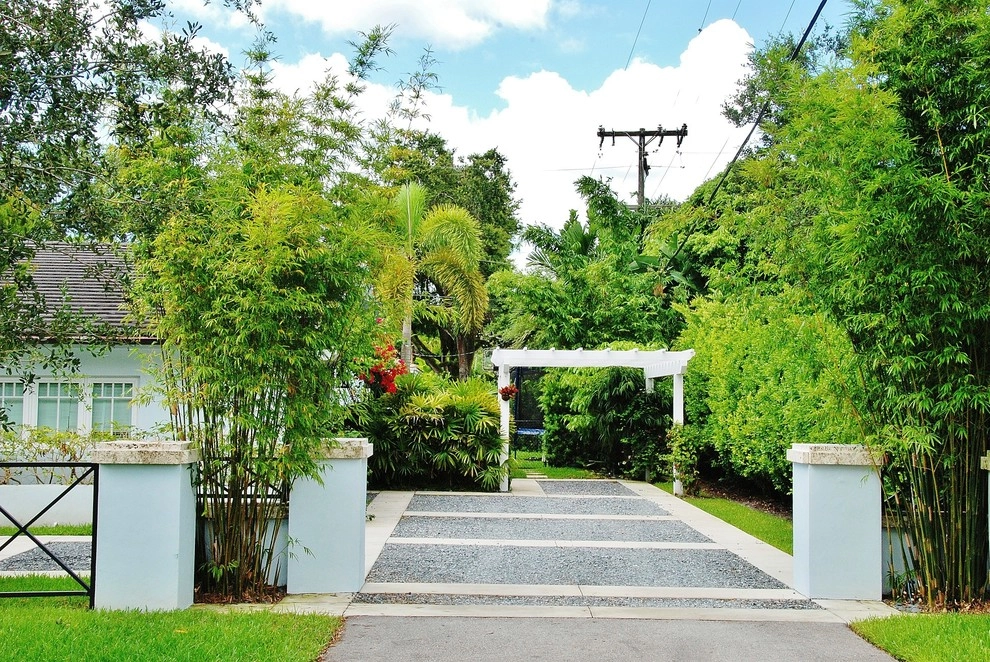Bamboo Landscape Design Miami by Knoll Landscape Design Miami - Photo 9