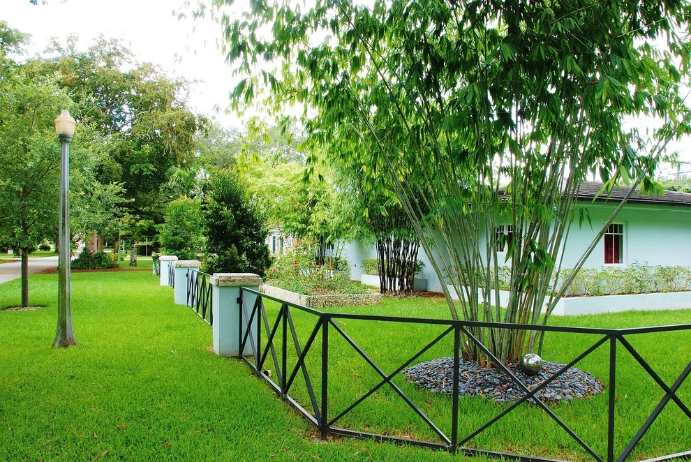 Bamboo Landscape Design Miami by Knoll Landscape Design Miami - Photo 3