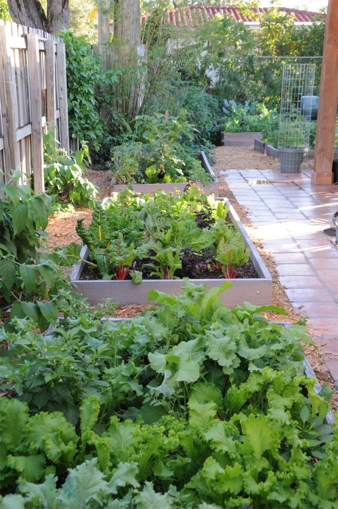 Raised Bed Garden Miami Landscape Design by Knoll Landscape Design Miami - Photo 17