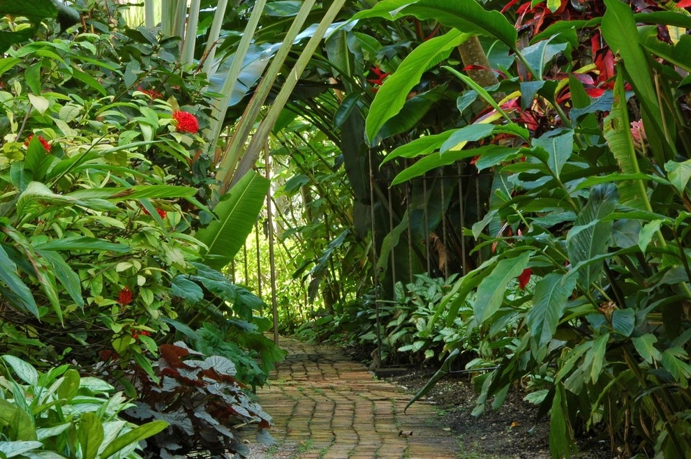 Tropical Landscape Design Miami by Knoll Landscape Design Miami - Photo 32