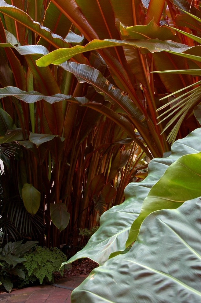 Miami Landscape Design Ideas by Knoll Landscape Design Miami - Photo 38