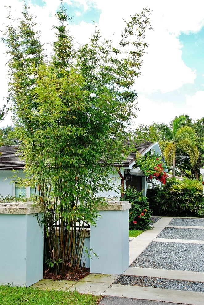 Knoll Landscape Design Miami - Photo 3
