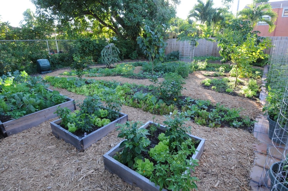 Raised Bed Garden Miami Landscape Design by Knoll Landscape Design Miami - Photo 5