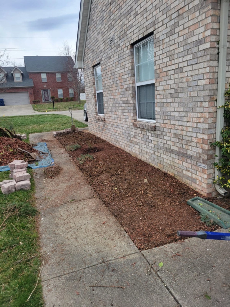 Alberto Alavez Professional Lawn Services LLC 11 by Alberto Alavez Professional Lawn Services LLC - Photo 2