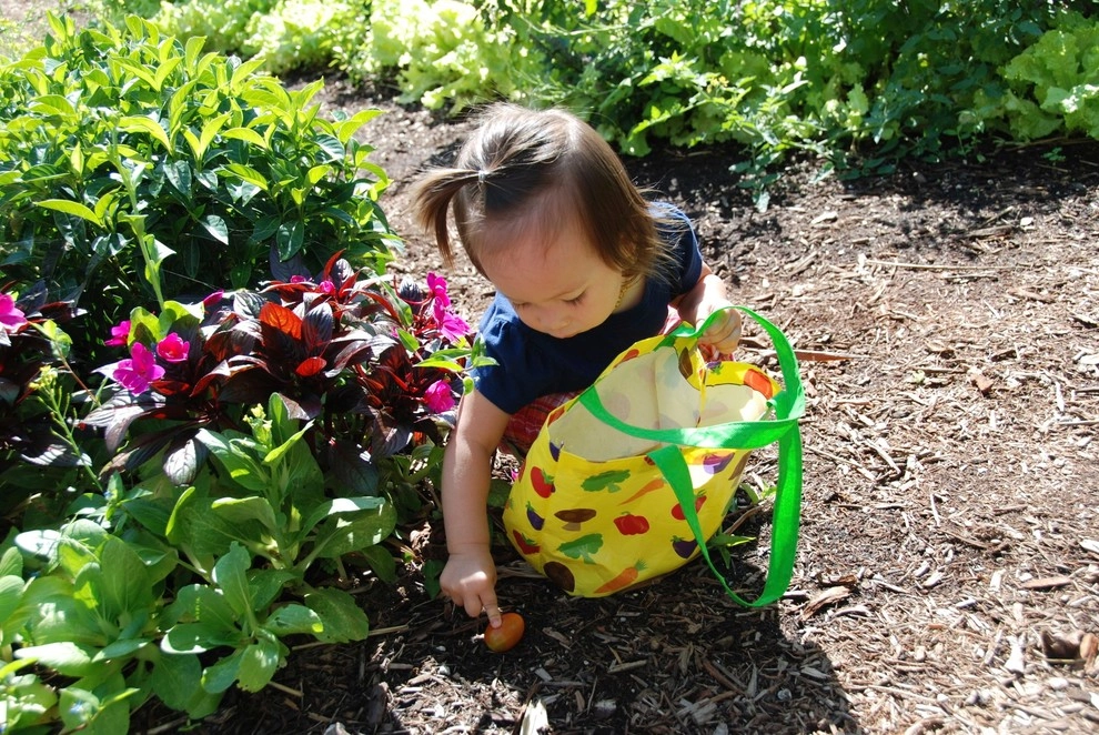Edible Landscape Design Miami by Knoll Landscape Design Miami - Photo 38