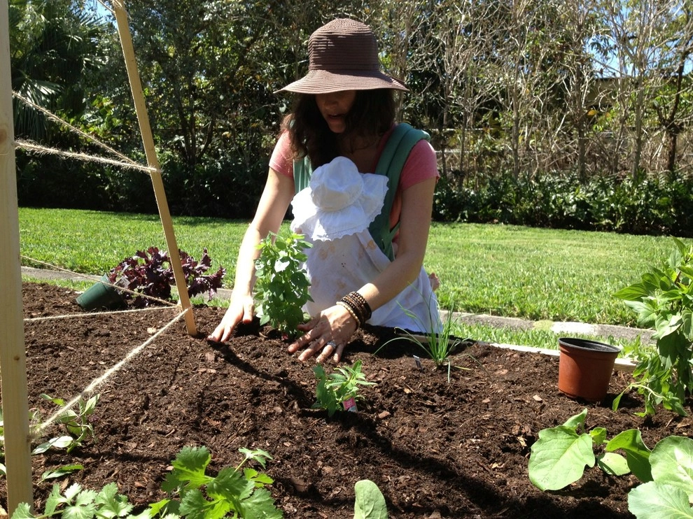 Edible Landscape Design Miami by Knoll Landscape Design Miami - Photo 31