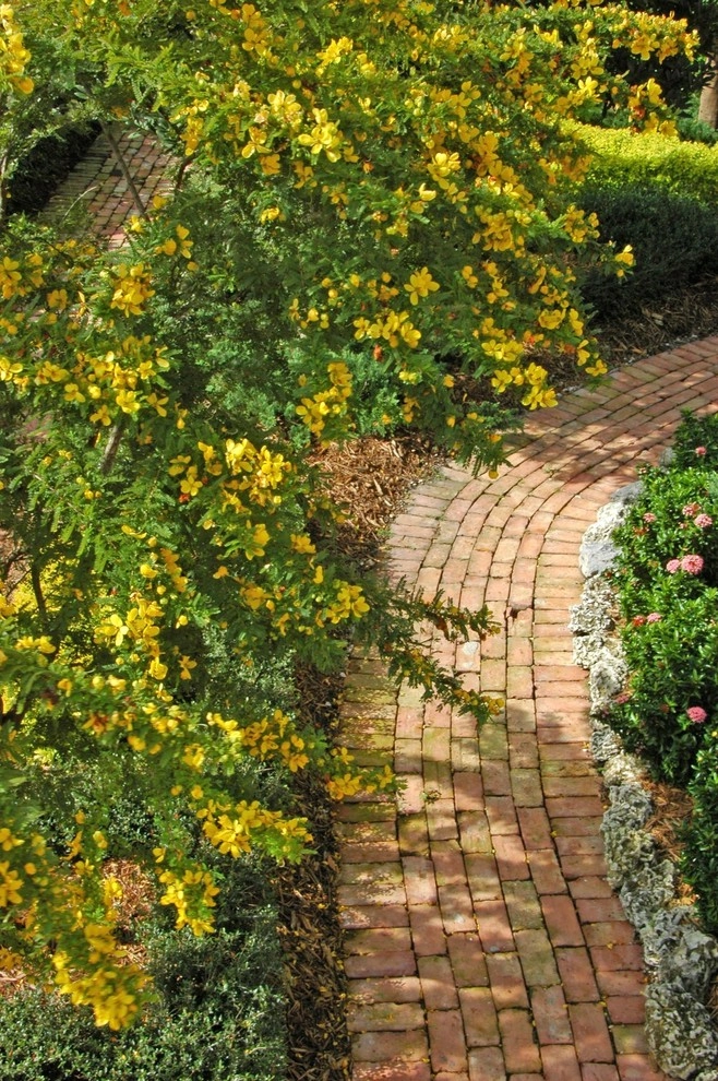 Mediterranean Landscape Design Miami by Knoll Landscape Design Miami - Photo 2