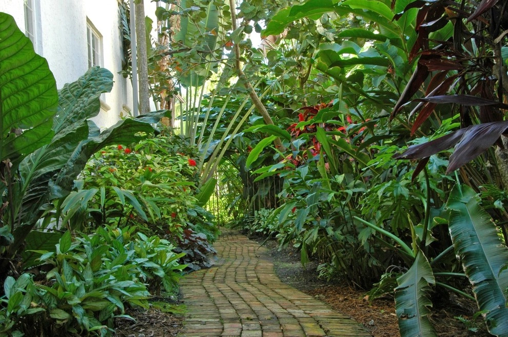 Mediterranean Landscape Design Miami by Knoll Landscape Design Miami - Photo 13