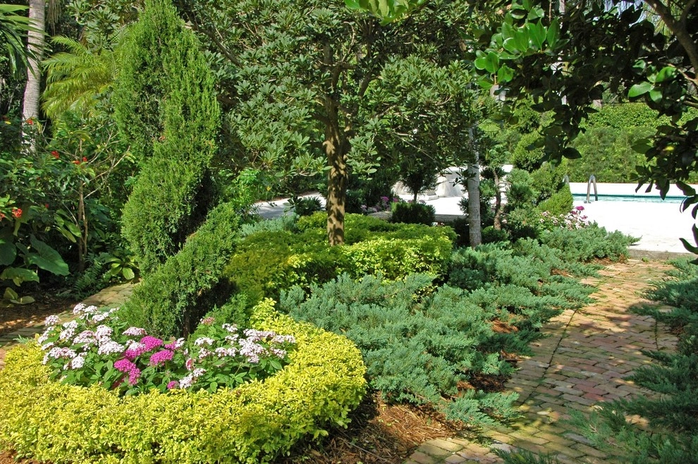 Mediterranean Landscape Design Miami by Knoll Landscape Design Miami - Photo 7