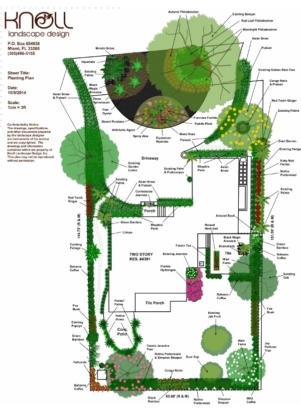 Our CAD Designs by Knoll Landscape Design Miami - Photo 4