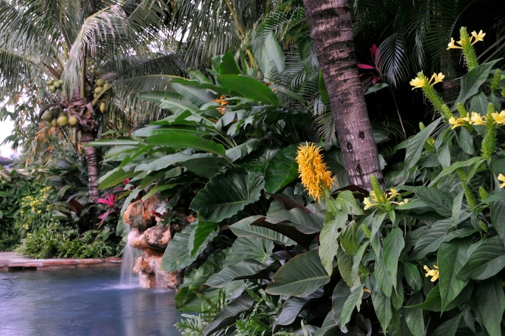 Tropical Landscape Design Miami by Knoll Landscape Design Miami - Photo 27