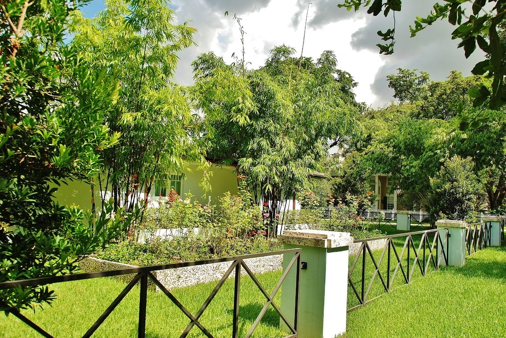 Tropical Landscape Design Miami by Knoll Landscape Design Miami - Photo 38