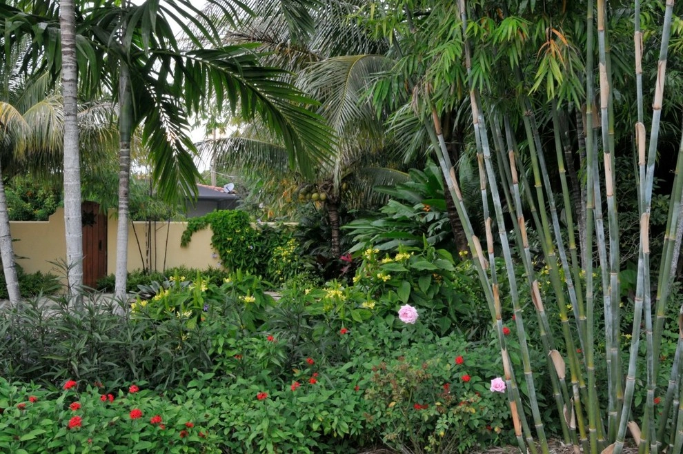Tropical Landscape Design Miami by Knoll Landscape Design Miami - Photo 33