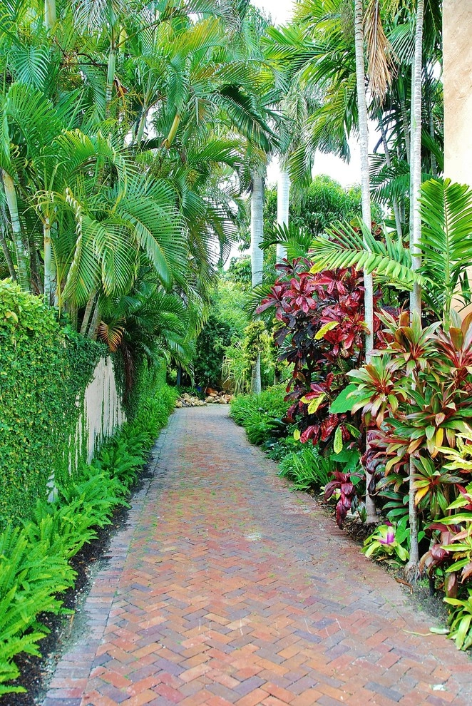 Tropical Landscape Design Miami by Knoll Landscape Design Miami - Photo 30