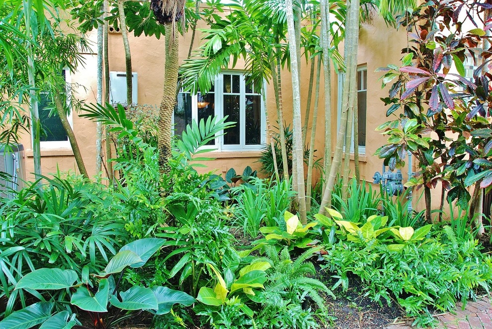 Tropical Landscape Design Miami by Knoll Landscape Design Miami - Photo 34