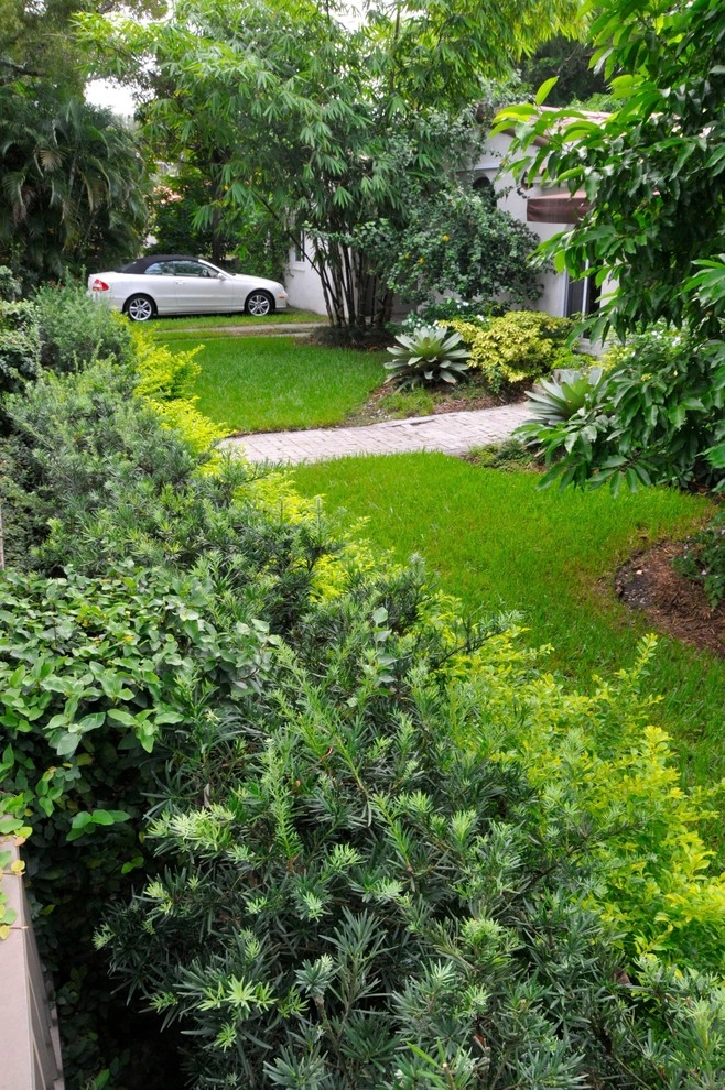 Miami Landscape Design Ideas by Knoll Landscape Design Miami - Photo 30