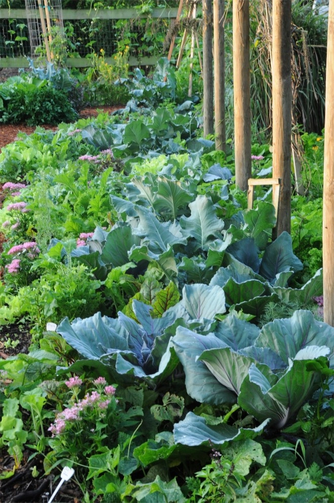 Miami Landscape Design Ideas by Knoll Landscape Design Miami - Photo 9