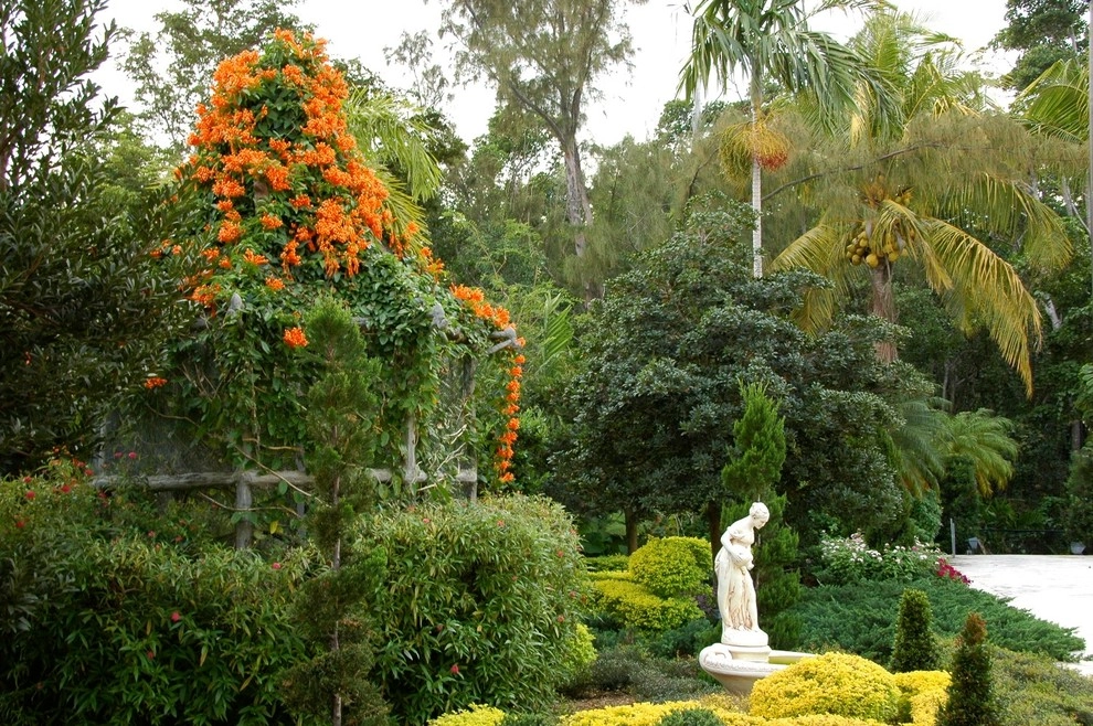 Miami Landscape Design Ideas by Knoll Landscape Design Miami - Photo 40