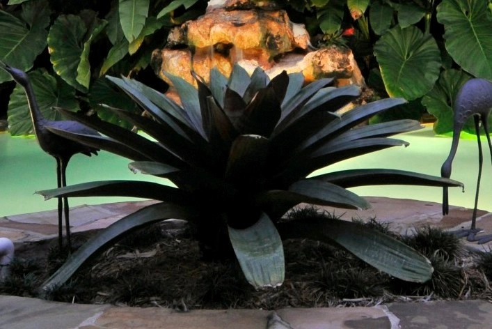 Miami Landscape Design Ideas by Knoll Landscape Design Miami - Photo 61