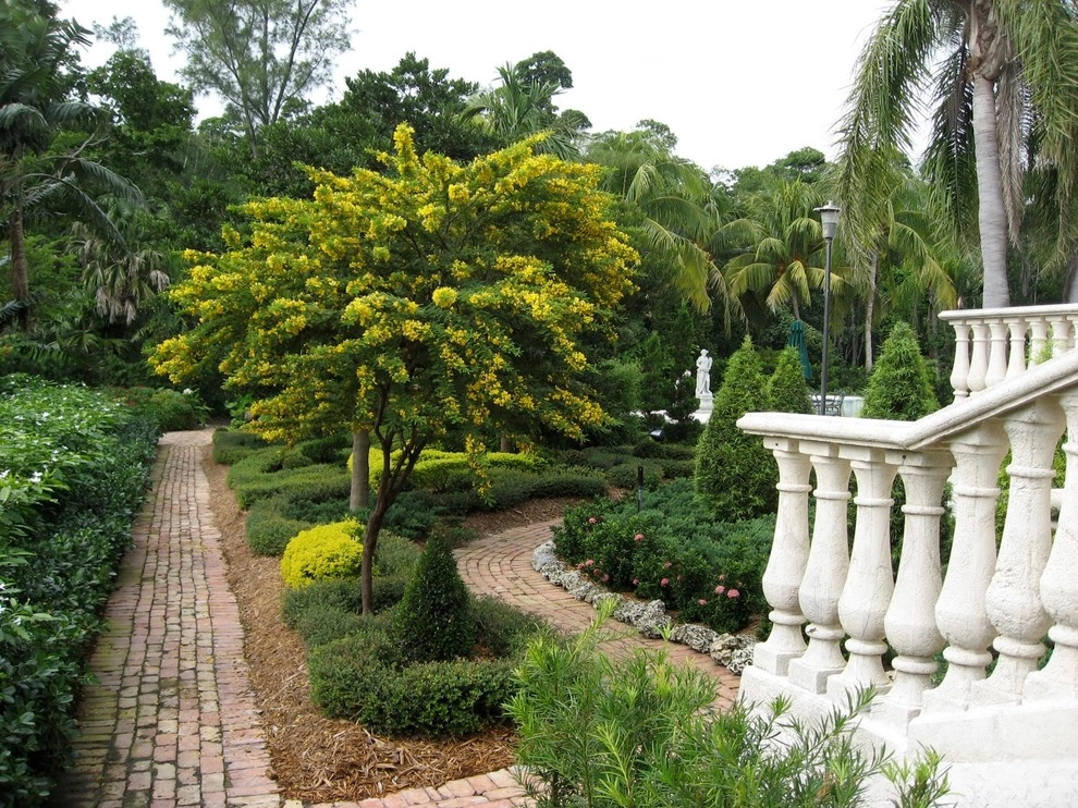 Miami Landscape Design Ideas by Knoll Landscape Design Miami - Photo 11