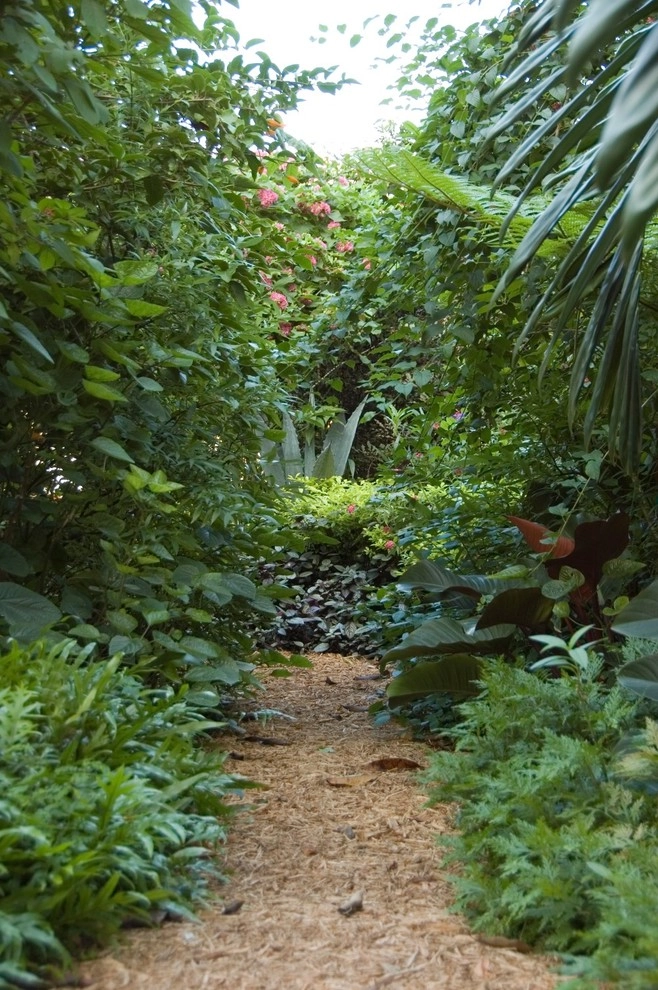 Miami Landscape Design Ideas by Knoll Landscape Design Miami - Photo 52