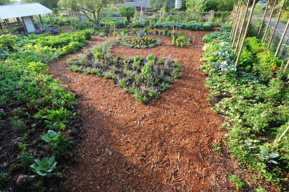 Miami Landscape Design Ideas by Knoll Landscape Design Miami - Photo 74