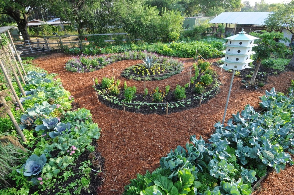 Miami Landscape Design Ideas by Knoll Landscape Design Miami - Photo 41