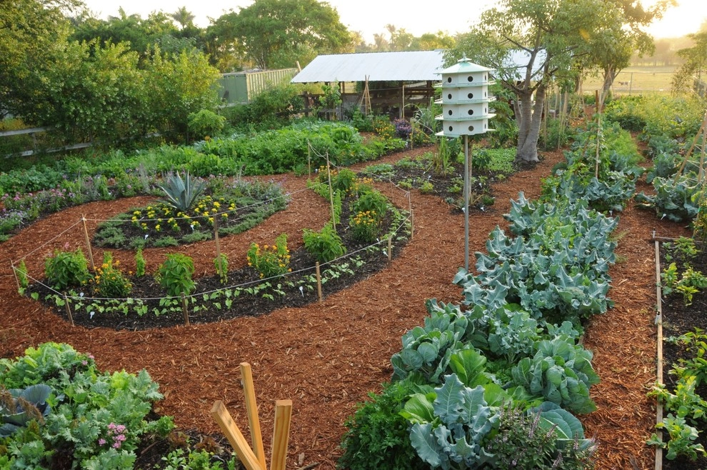Miami Landscape Design Ideas by Knoll Landscape Design Miami - Photo 67