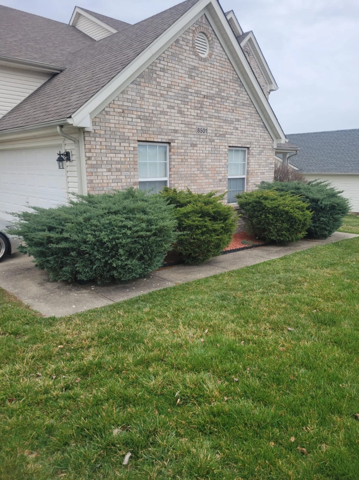 Alberto Alavez Professional Lawn Services LLC 11 by Alberto Alavez Professional Lawn Services LLC - Photo 7