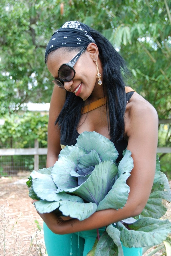 Edible Landscape Design Miami by Knoll Landscape Design Miami - Photo 30