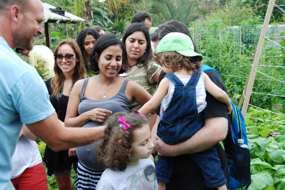 Edible Landscape Design Miami by Knoll Landscape Design Miami - Photo 11