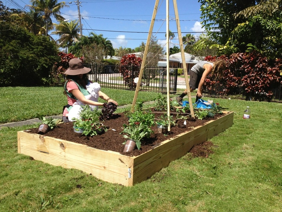 Edible Landscape Design Miami by Knoll Landscape Design Miami - Photo 41