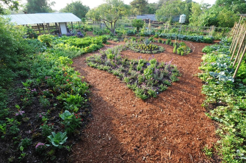 Edible Landscape Design Miami by Knoll Landscape Design Miami - Photo 25