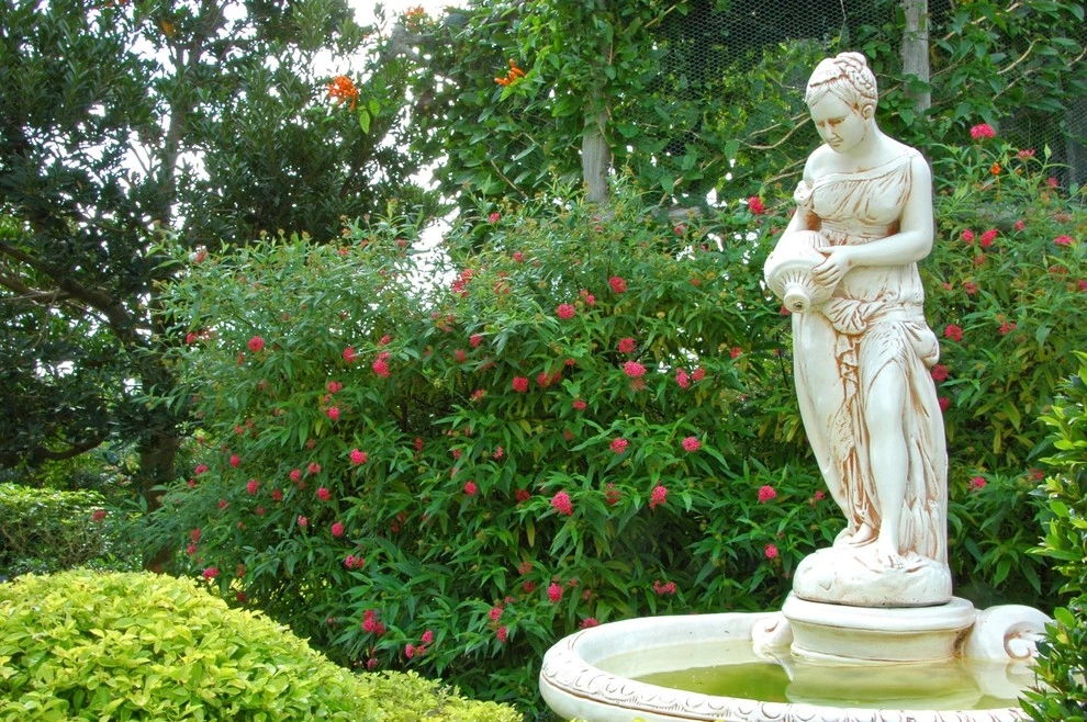Mediterranean Landscape Design Miami by Knoll Landscape Design Miami - Photo 14